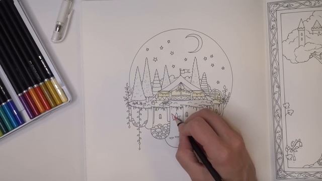 Flip-Thru and Coloring inside Johanna Basford's NEW coloring book WORLDS OF WONDER смотреть онлайн