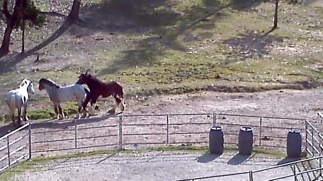 Esther Playing and Feeling Groovy смотреть онлайн