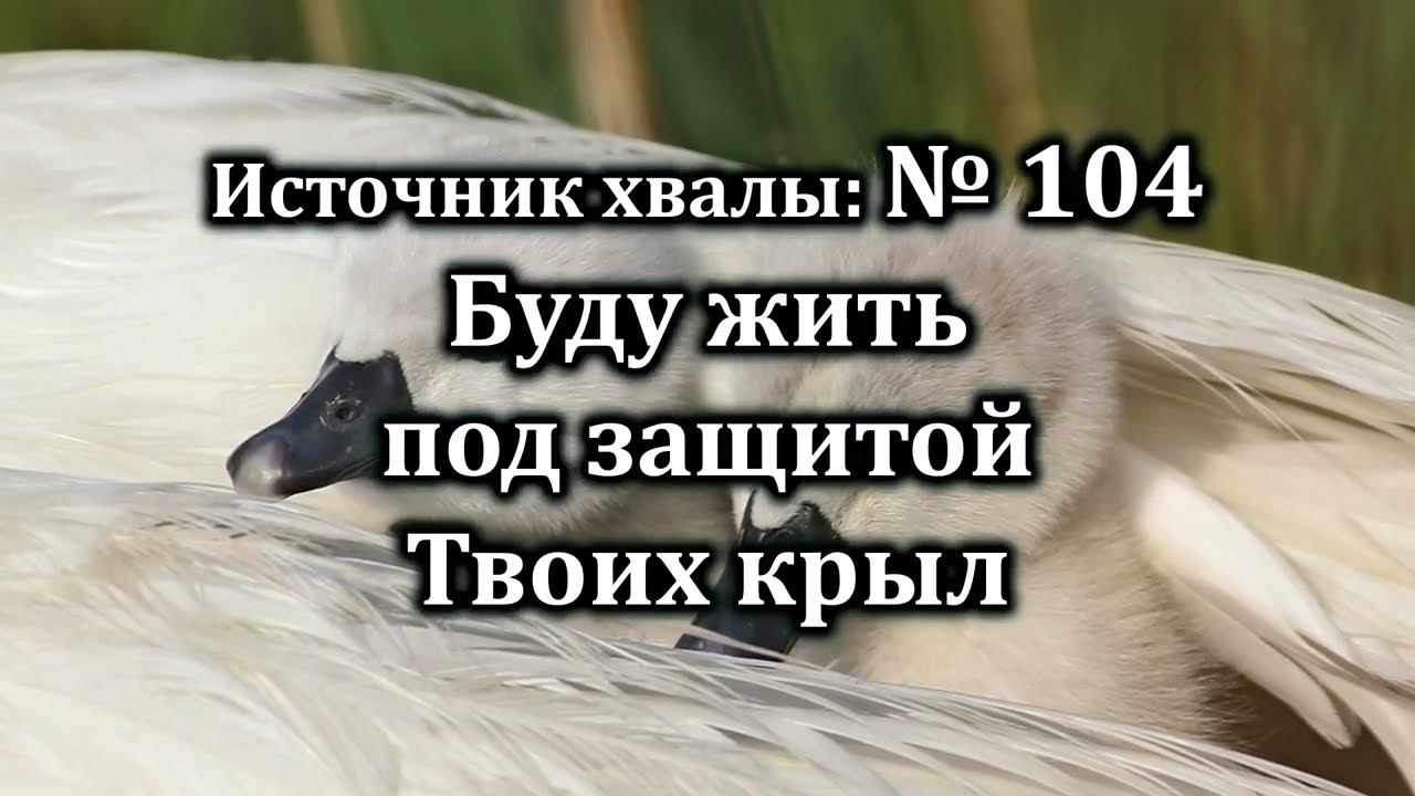 Буду жить под защитой Твоих крыл  Источник хвалы  104  Караоке плюс  Христианские песни