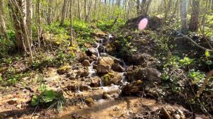 Гуамское ущелье 2021.