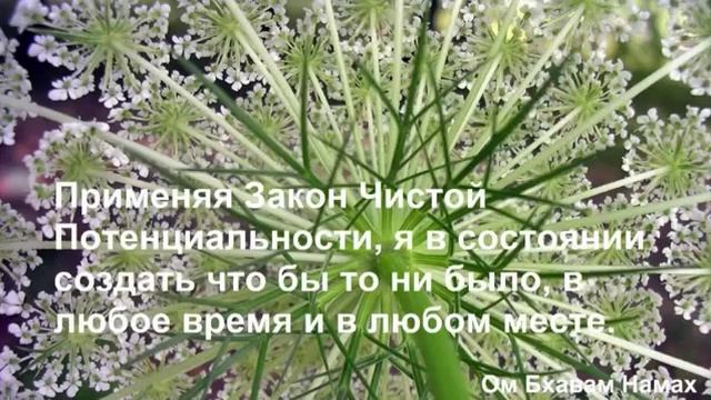 День 8. Изобилие и Закон Чистой Потенциальности. смотреть онлайн