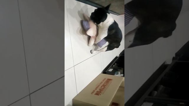 3 декабря 2016 г.