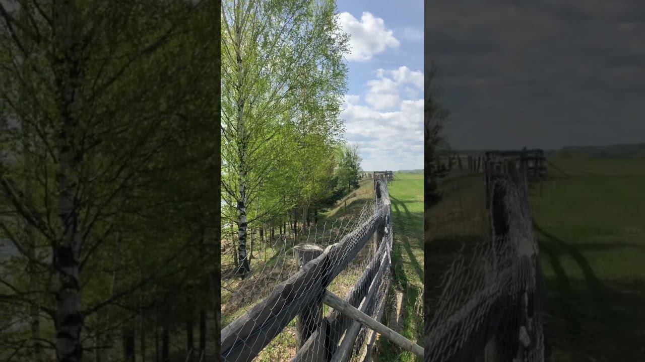 Как стать счастливым? #ипотечныйброкер #кино #shortsvideo #дизайнинтерьера смотреть онлайн