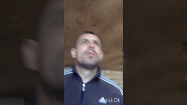 Корови кінець бізнес історії😱 смотреть онлайн
