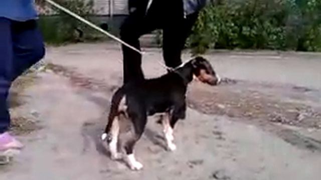 Буль 05,05,09 2 смотреть онлайн
