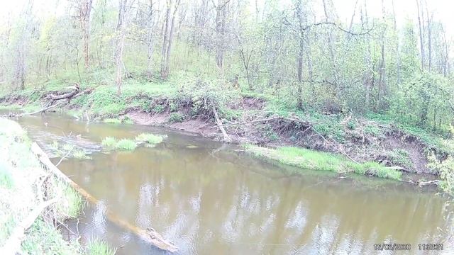 ЛОВЛЯ НА СПИННИНГ РЕКА ПАХРА смотреть онлайн