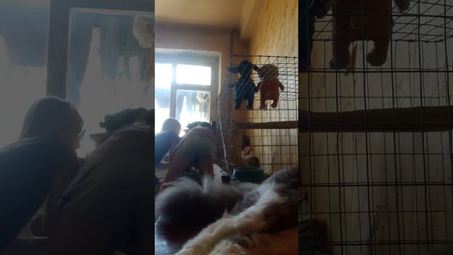 продолжение фильма тайная любовь двух лучших друзей ))