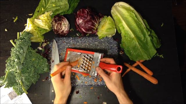 Bearded Dragon Diet: Nutritional Value of Carrots in Veggie Mix смотреть онлайн