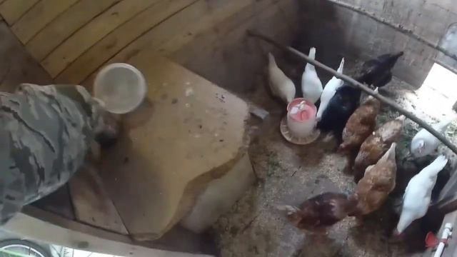 Урожай после Весны // ШАШЛЫК // КОПЧЁНЫЙ ЛЕЩ смотреть онлайн