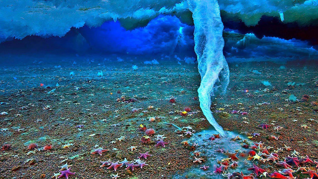 10 САМЫХ ЗАГАДОЧНЫХ ЯВЛЕНИЙ ПРИРОДЫ смотреть онлайн