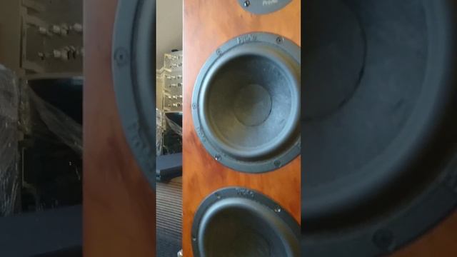 proac response 3.8 pioneer sa 7100 ampli смотреть онлайн