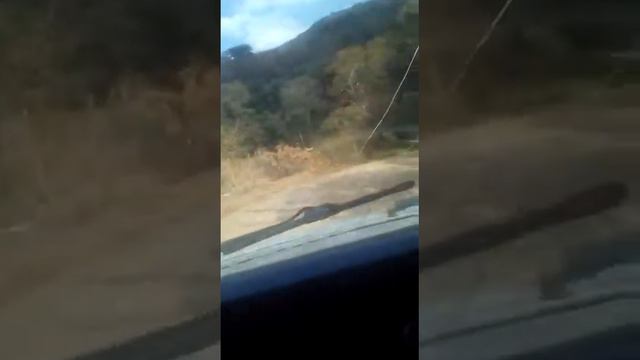 El Gregorio por San Antonio de Capayacual, Edo. Monagas, Venezuela. Ford Econoline смотреть онлайн
