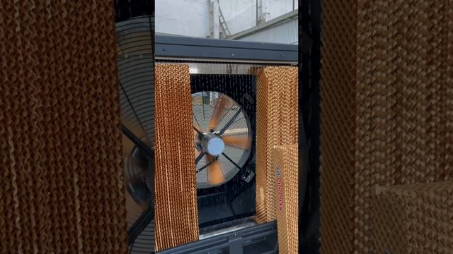 Промышленный охладитель Master! #shorts смотреть онлайн