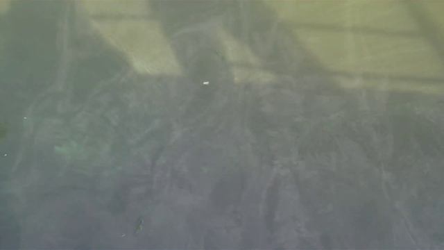 Николаев. Водоворот на Южном Буге. Nikolaev. Whirlpool On The Southern Bug