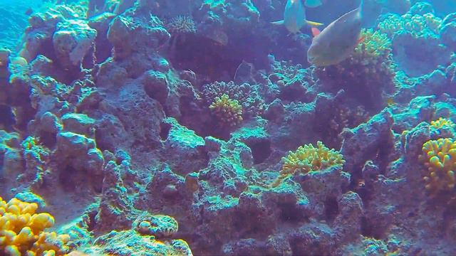 Красное море смотреть онлайн