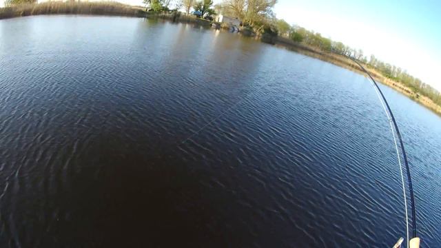 Ловля щуки и судака нахлыстом | Fly Fishing for pike and zander смотреть онлайн