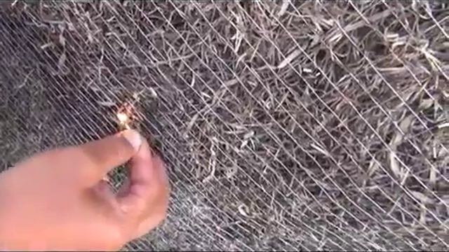 Эко Морское. Эксперимент: горят ли домики из водорослей. смотреть онлайн