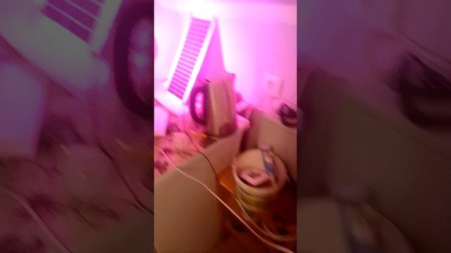 СЕ Попытка само запита БТГ солнечная панель и ультрафиолет. смотреть онлайн