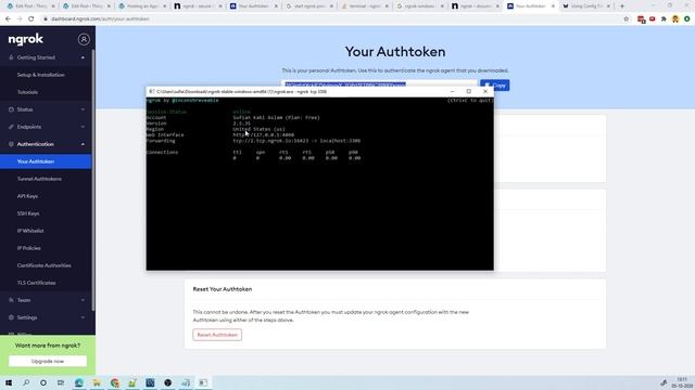 Connecting MySQL Server using Reverse Tunnel (ngrok) смотреть онлайн