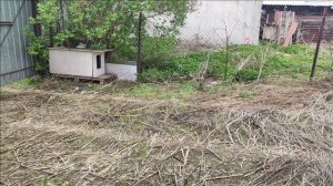 Новые жители