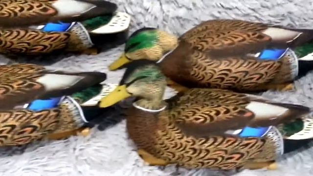 Утиные чучела "Avian-X Early-Season". Подготовка к охоте на утку 2017. Охота на утку 2017. смотреть онлайн