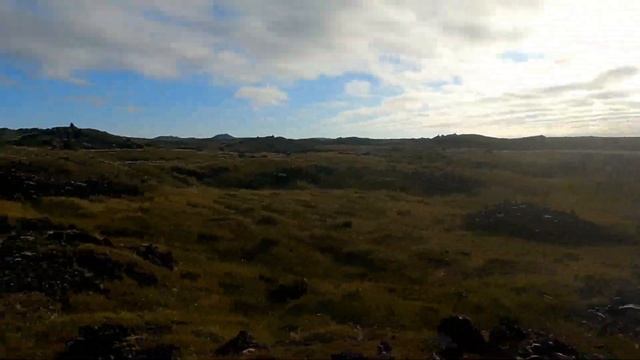 Исландия День 7 : Идём смотреть Китов ? смотреть онлайн