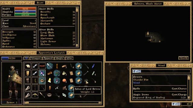 Morrowind, Part 7 / Exploring Balmora, Stealing a House and Reporting to Caius Cosades! смотреть онлайн
