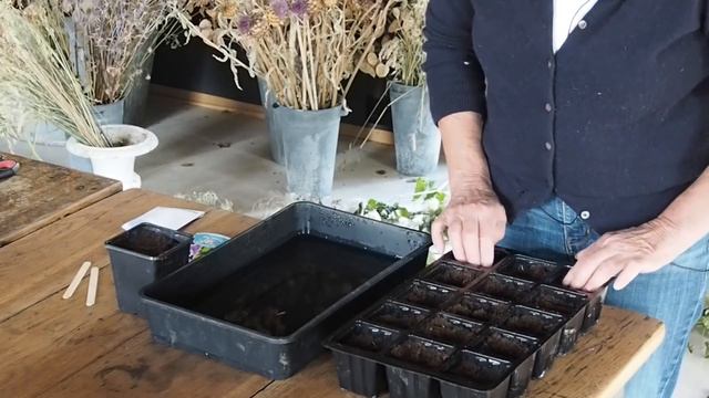 Insider seed sowing tips for next year's summer border смотреть онлайн