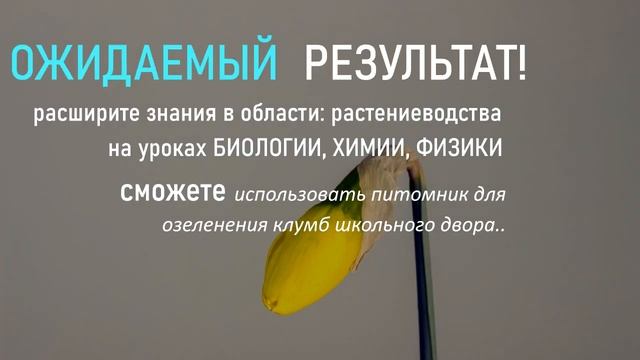 проект школьная теплица 3 урок смотреть онлайн