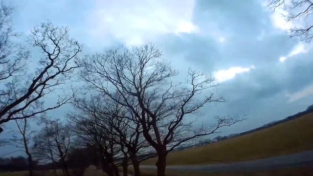 relearning the X210 смотреть онлайн