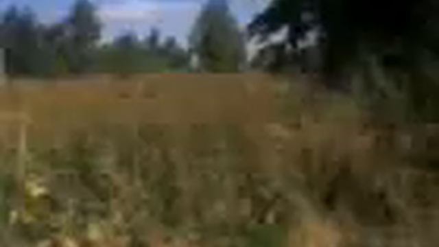 Мичуринск, Донское. 2011 - Данина Татьяна смотреть онлайн