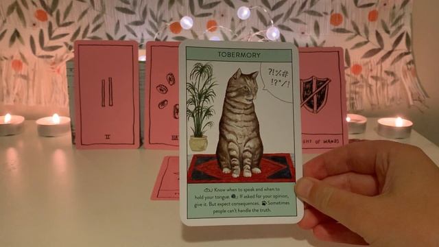 Are You Their Type? Who Are They Looking For/Interested In? Timeless Pick a Card Tarot Reading смотреть онлайн