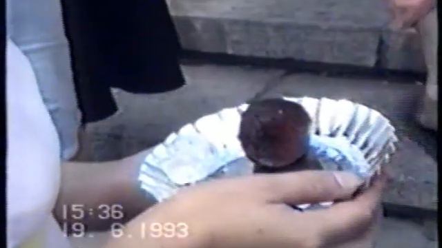 Ратха-Ятра в Кишиневе 1993 году с участием Индрадьюмны Свами смотреть онлайн