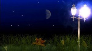 Звуки природы. Ночь. Светлячки