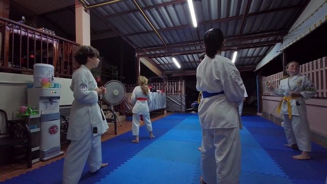 Karate Training TimeLapse 26-10-2020 смотреть онлайн