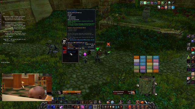 Winning the Swift Razzashi Raptor in Classic WoW *Volume Warning* смотреть онлайн