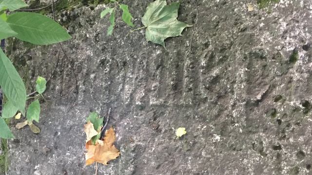 Тайна всевидящего ока на русской церкви. Масонский символ и старое кладбище. смотреть онлайн