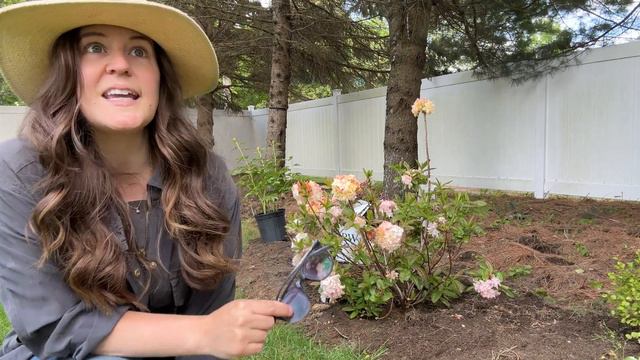 10 Things I Wish I Knew Before Beginning Gardening + Beginner Gardening Tips // Birchsalt смотреть онлайн