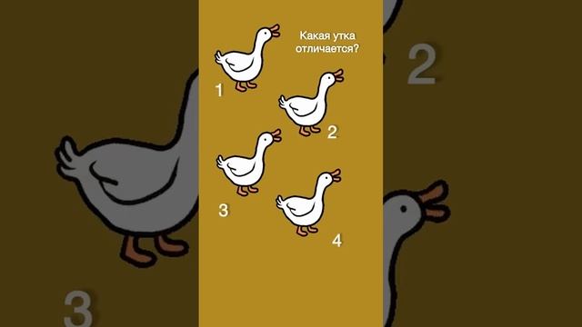 Какая утка отличается смотреть онлайн