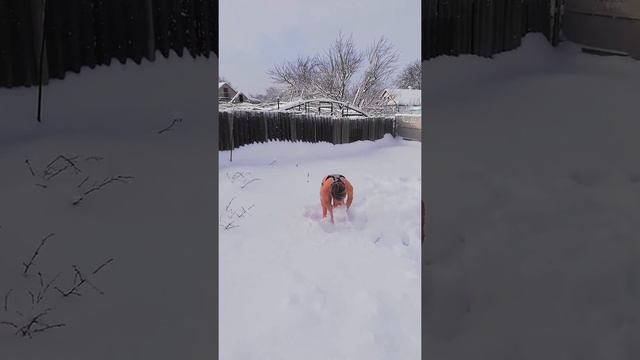 Вся слава Господу Шиве! смотреть онлайн