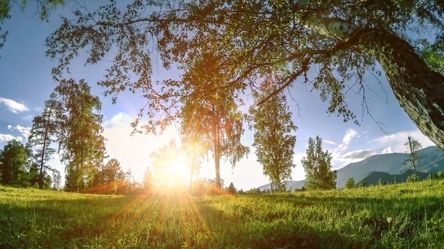 Отчим позвал падчерицу в сарай, пока мать была на работе. Он не догадывался кто наблюдает за ними