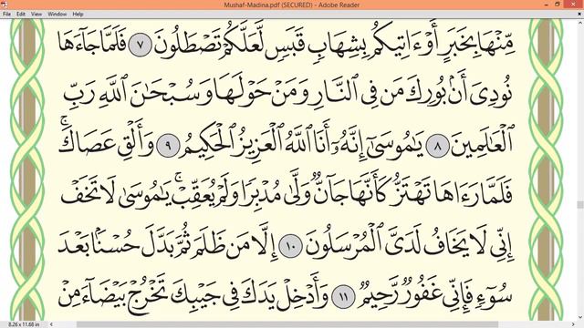 Practice Reciting With Correct Tajweed - Page 377 (Surah An-Naml)