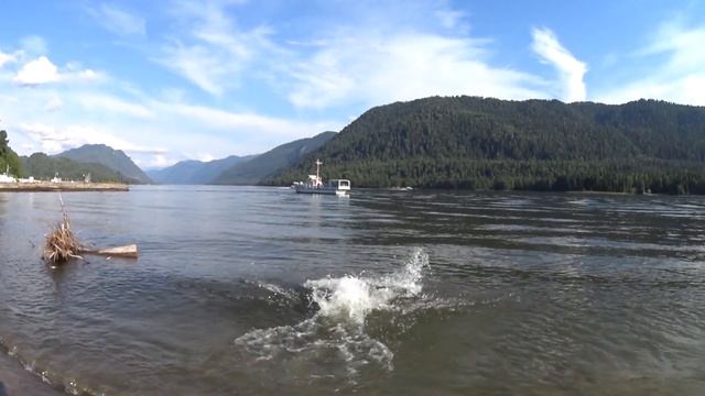 Телецкое озер. Купание смотреть онлайн