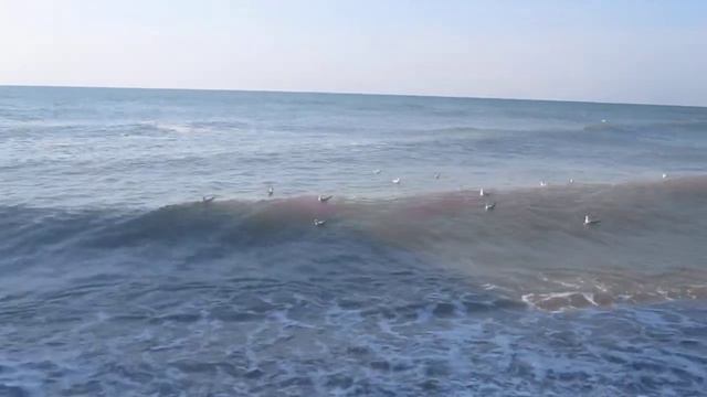 Odessa coast смотреть онлайн