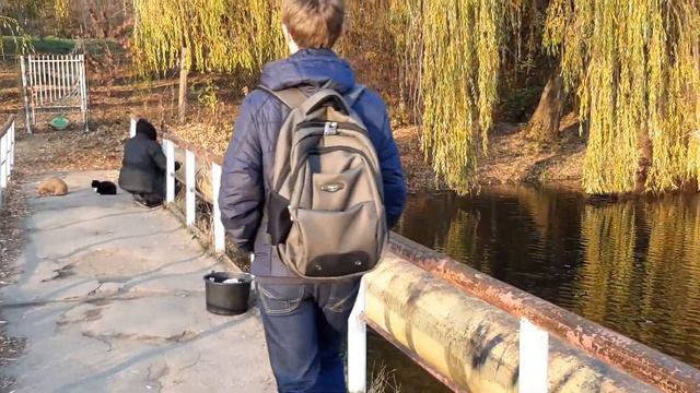 Вот почему жёлтый мостик1 ноября 2019 г. смотреть онлайн