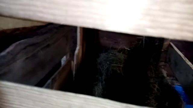 Кормушки для коз эконом класс смотреть онлайн
