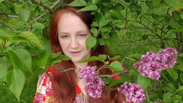 Вечность крахнутых смотреть онлайн