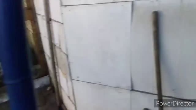 Самая Полезная Трава для Кур Несушек//Яйценоскость и Здоровье Кур Несушек смотреть онлайн