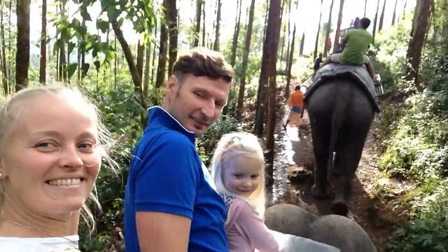 Масла йога тур. Катание на слонах смотреть онлайн