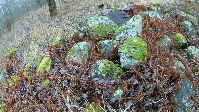 Нашли солдата пропавшего безвести на барской усадьбе! смотреть онлайн